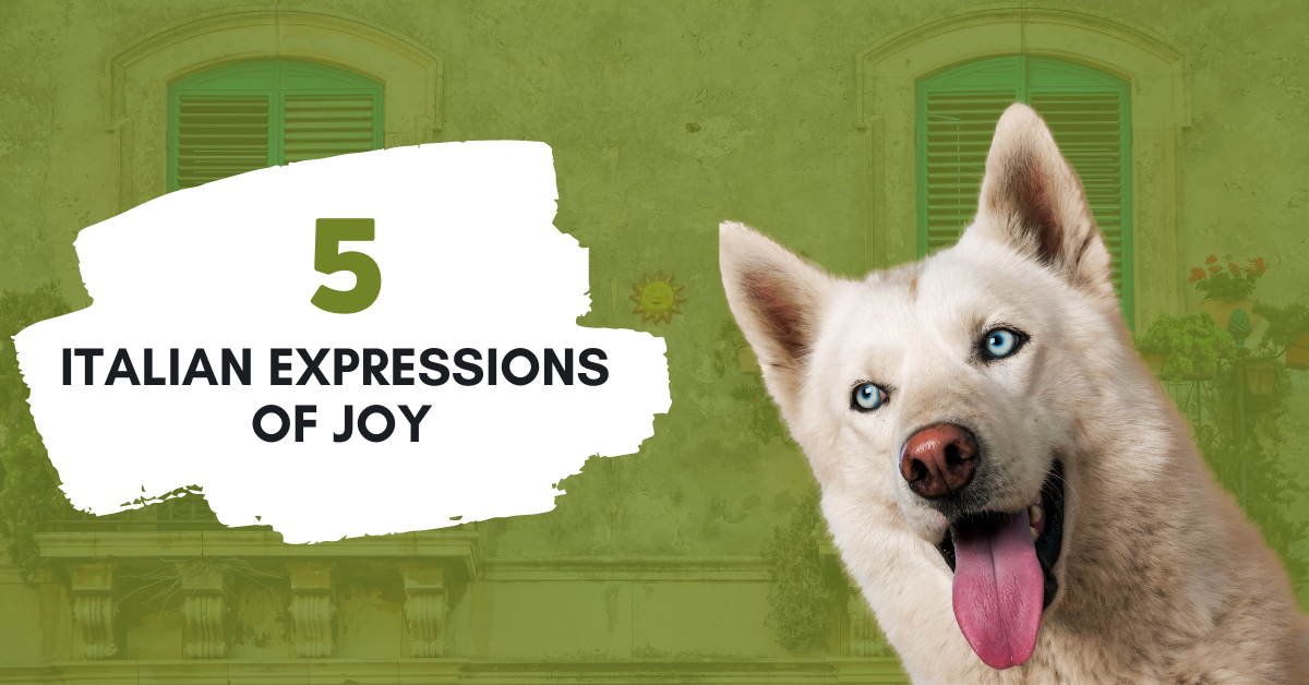 5 Italian Expressions Of Joy The Language Gnome
